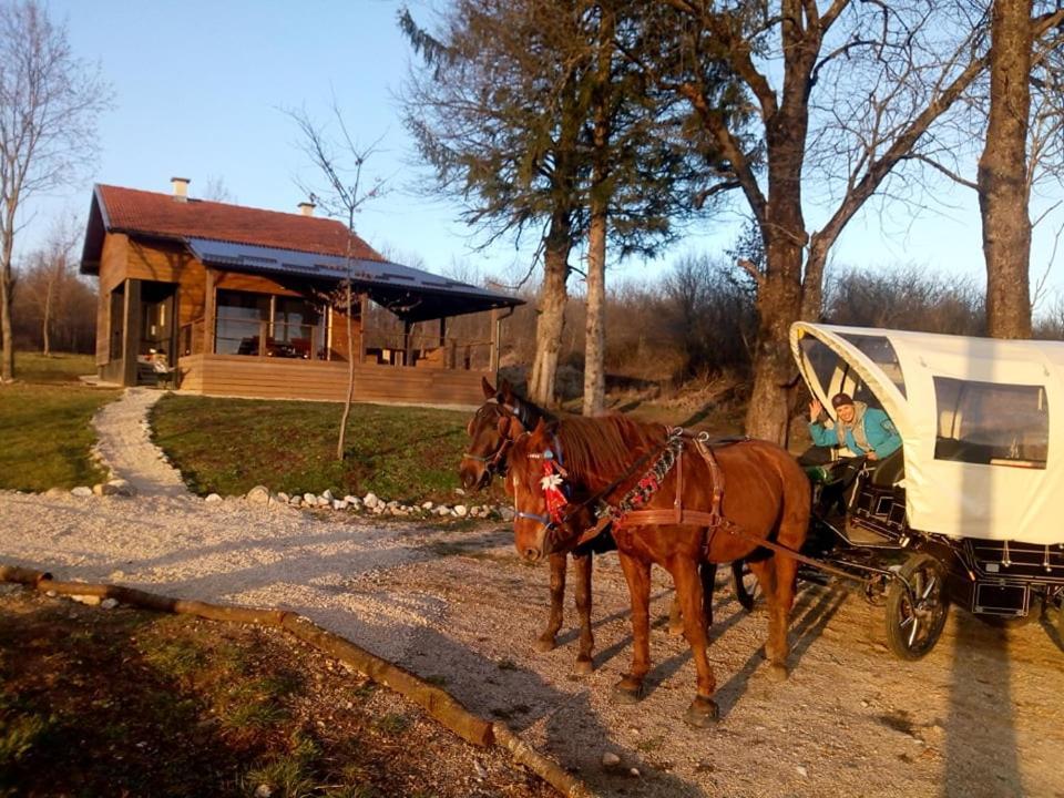 Evergreen House Plitvice Rakovica Kültér fotó
